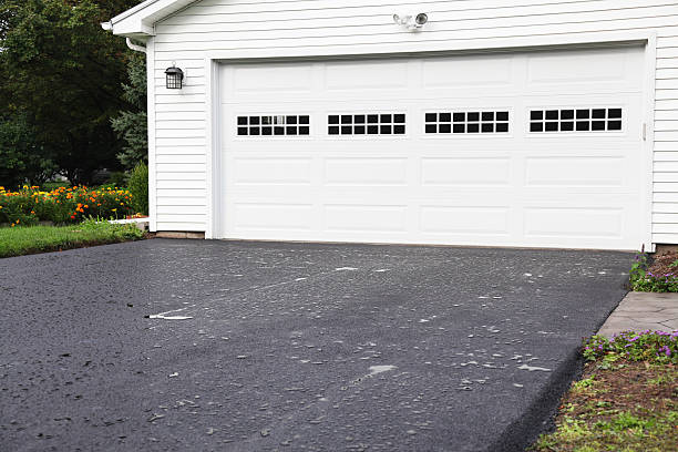 Best Carpet Removal and Disposal  in Winchester, CA