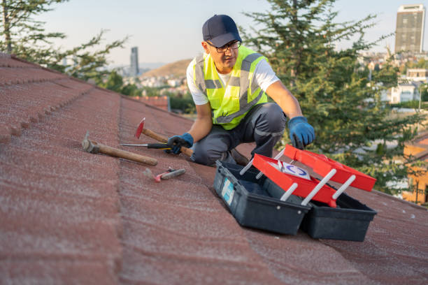 Best Shed Removal  in Winchester, CA