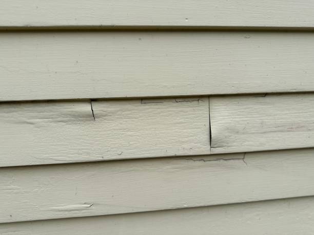 Best Construction Debris Removal  in Winchester, CA